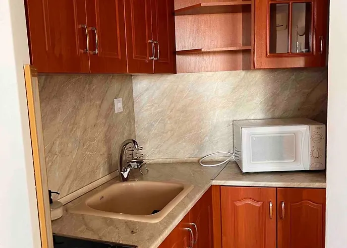 Windmill With Sea View ネセバル